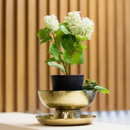 דירה Kruna Lux Apartmans