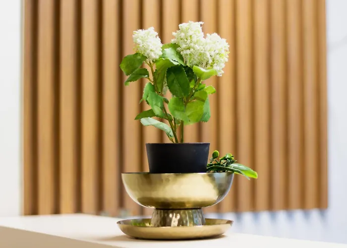 Διαμέρισμα Kruna Lux Apartmans